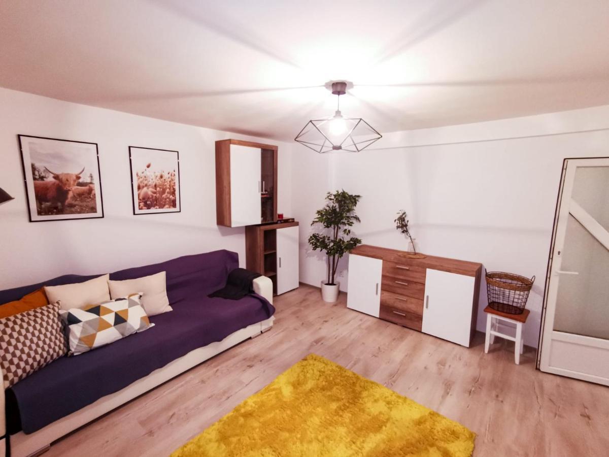 105500 Apartment Buşteni Buitenkant foto